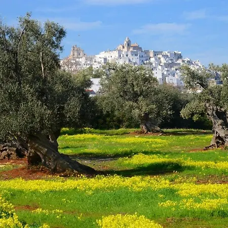 La Terrazza Sul Ponte * Ostuni